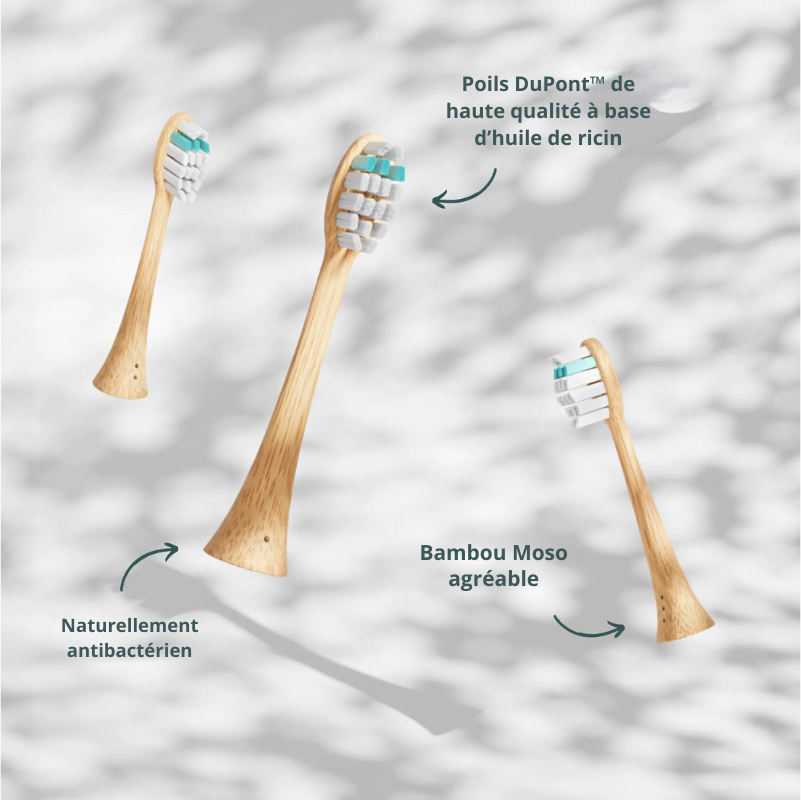 Brosse à dents sonique durable