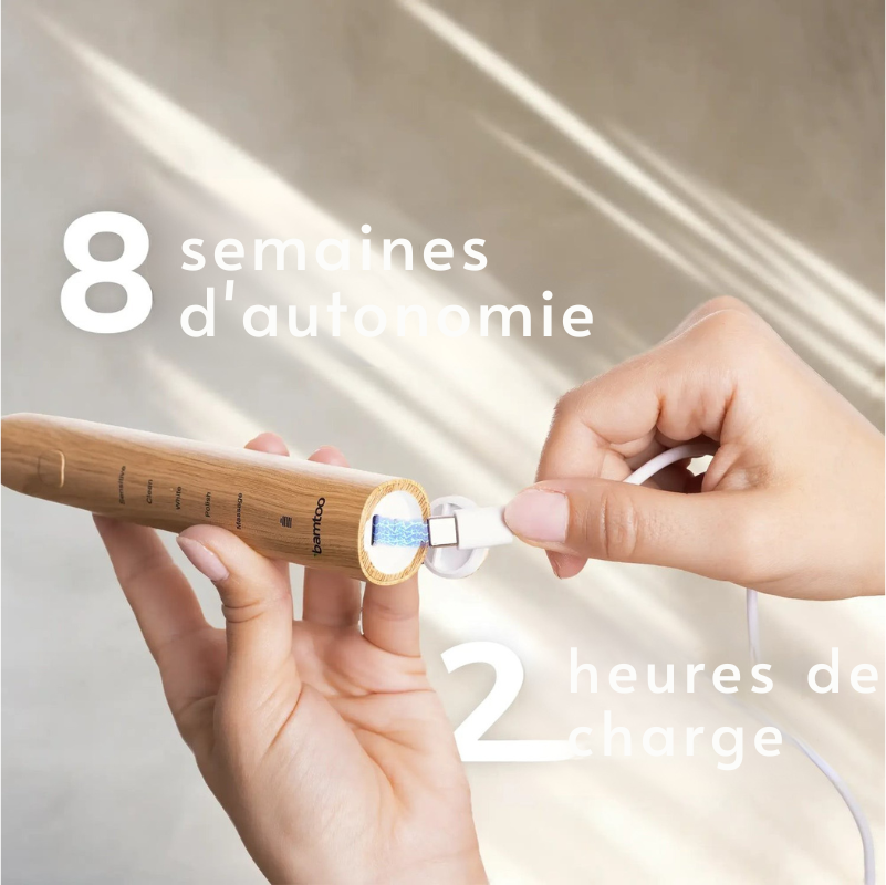 Brosse à dents sonique durable