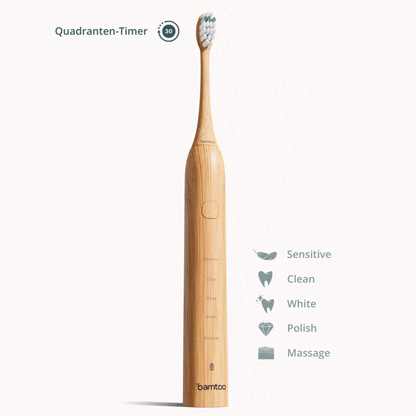 Brosse à dents sonique durable